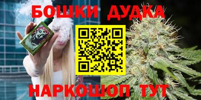 МДПВ Ирбит