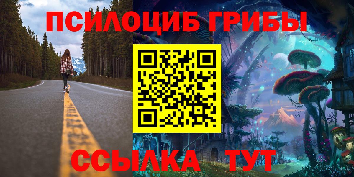 Керчь  Галлюциногенные грибы Psilocybe  Вход с VPN 